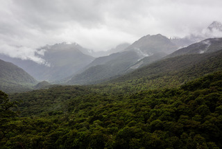 New Zealand